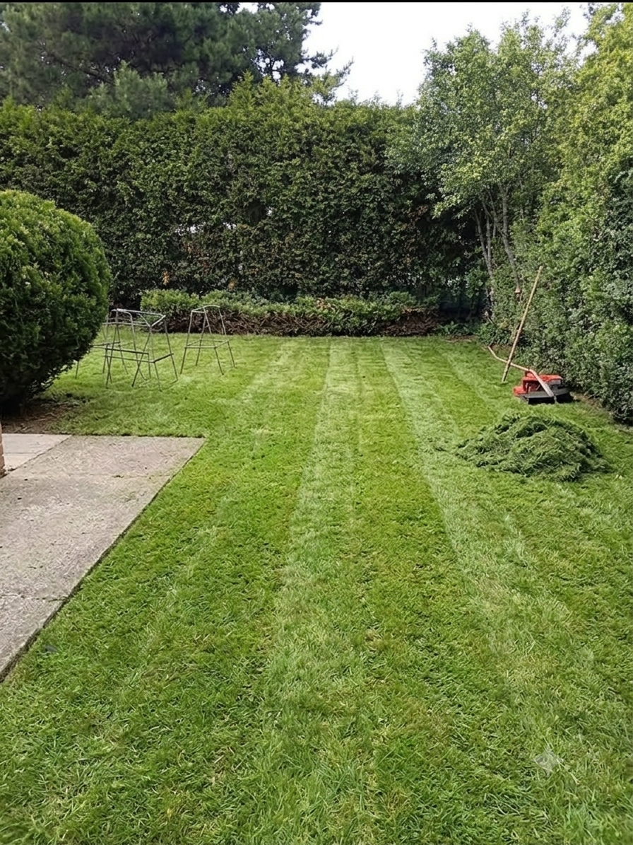 Frisch gemähter Rasen mit sauberen Streifen und geschnittener Hecke