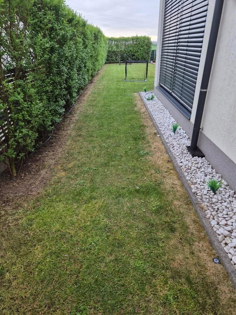 Gepflegte Rasenkante mit Kiesbeet entlang der Hausfassade